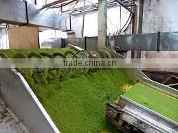 Oishi Green Tea SP2 ( Super Pekoe 2 ) is Famous Tea Brands From World Famous Tea Paris Viet Nam photo-4