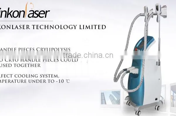 Slimming Reshaping Fat Freezing Machine / Cryolipolysis Weight Loss Slimming / Freezing Fat Cell Slimming Machine photo-6