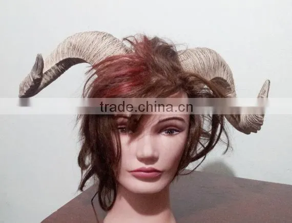 Ram Horn/animal Horn Manufacturer in India 2016