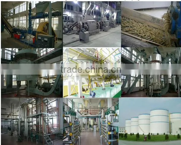 Sunflower Oil Extraction Plant/palm Kernel Oil Extraction Plant/screw Oil Extraction Press photo-6