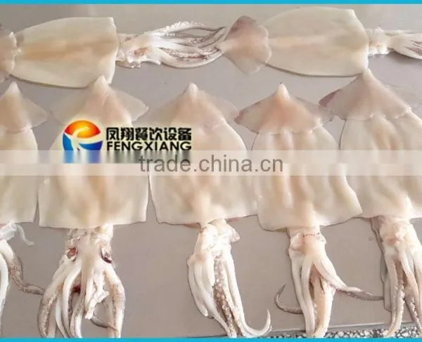 Fish Skin Removing Machine, Peeling Machine of Squid Plate Squid Processing Machine Mob/Whatsapp: +86 18281862307 (May Liao) photo-4