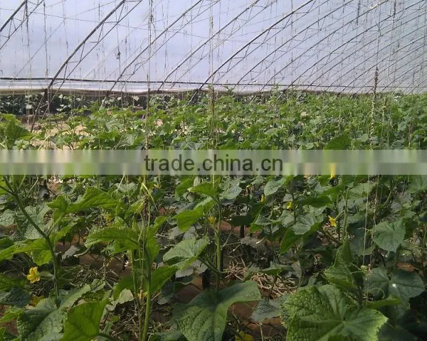 Liquid Fertilizer photo-6