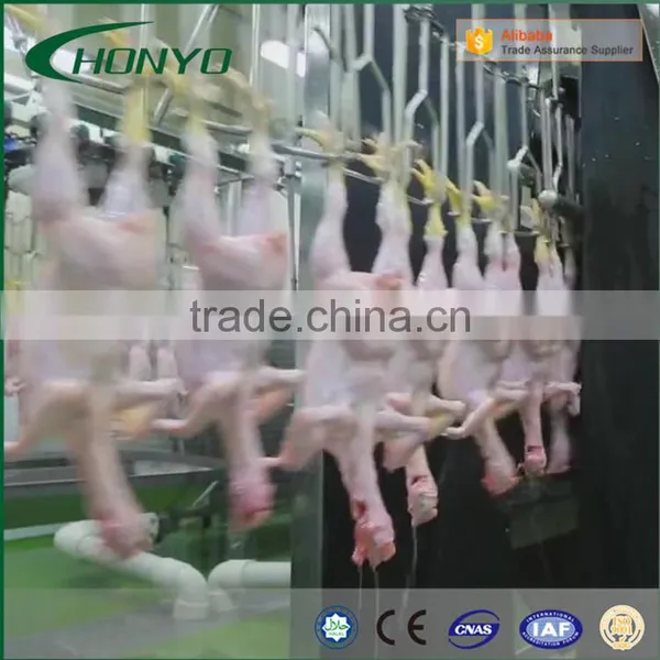 HALAL Automatic Chicken Poultry Conveying System Slaughtering Machine Of Poultry Abattoir Equipment photo-4