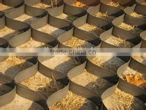 Plastic Grid Panel Drainage Cell Gravel Stabilizer photo-3