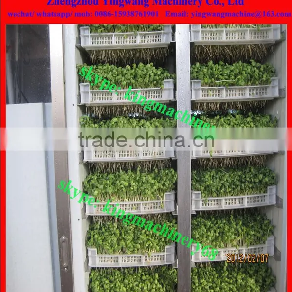 Bean Sprouts Incubator