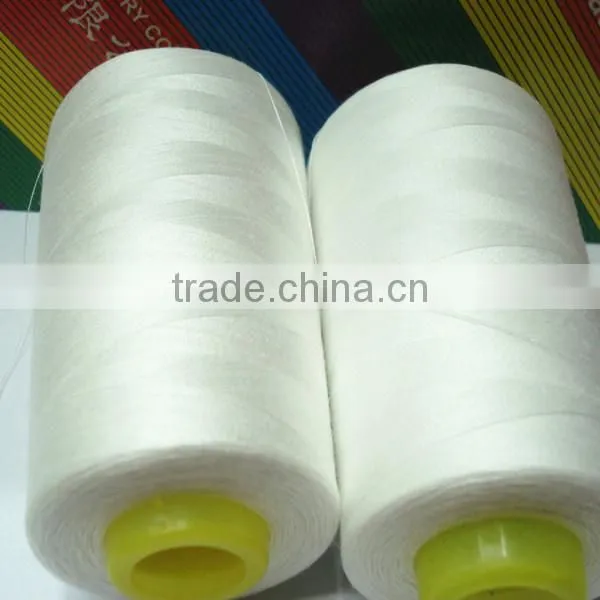 High Resistance 100% Polyester Thread for Sewing photo-3