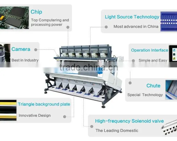 Metak Cashew Nut Sorting Processing Machines photo-5