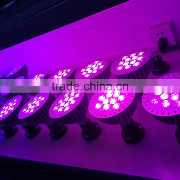 Lights From Plants to Grow and Plants With Lights for Those Companies Looking for Partners photo-2