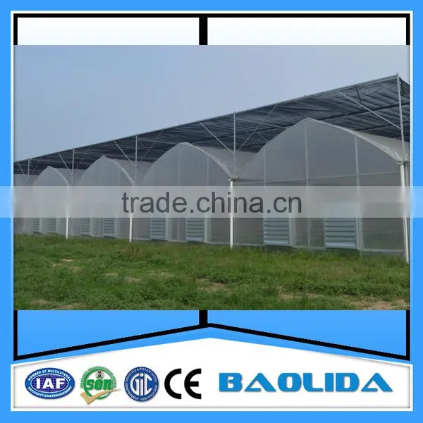 BLD Large Multi-span Plastic Film Greenhouse Commercial Use photo-2