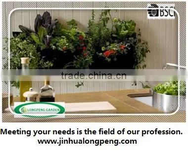 Wholesale Vertical Garden Wall Planters