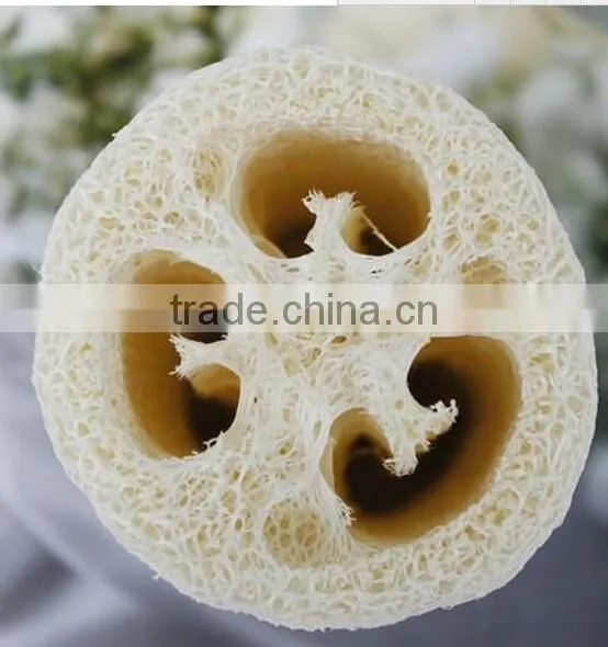 Cy295 Natural Loofah Loofa Bath Sponge Spa Body Sponges Scrubber Horniness Remover Bathing Sponge Massage Shower Bath Scrub photo-5