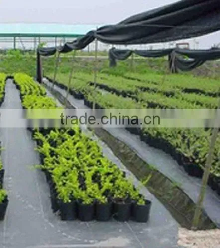 Plastic Ground Cover Breathable Mesh Fabric photo-4