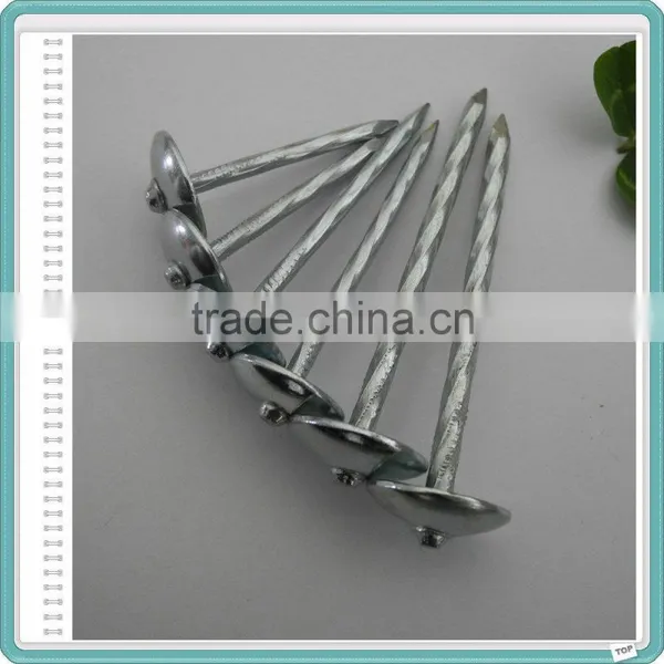 Umbrella Roofing Nails for South Africa photo-4