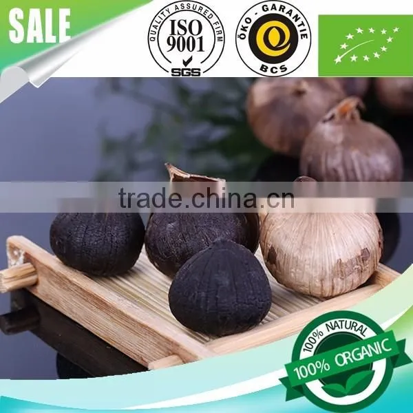 Supply l Black Garlic 100% Natural photo-4
