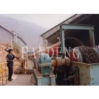 DTII, DTII (A) Fixed Belt Conveyor