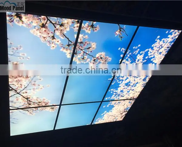 2015 Japanese Style Sakura Sky Ceiling Panel photo-3