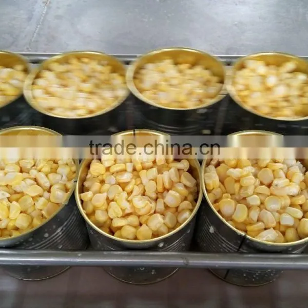 Canned Sweet Corn Baby Corn photo-2