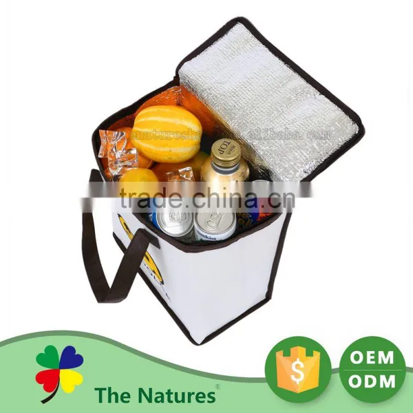 Exceptional Quality Custom Printed Logo Elegant And High End Frozen Food Soft Sided Insulated Cooler Bag photo-3