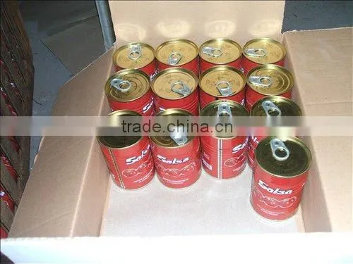 800*12tins/ctn Brix 28-30%canned Tomato Paste