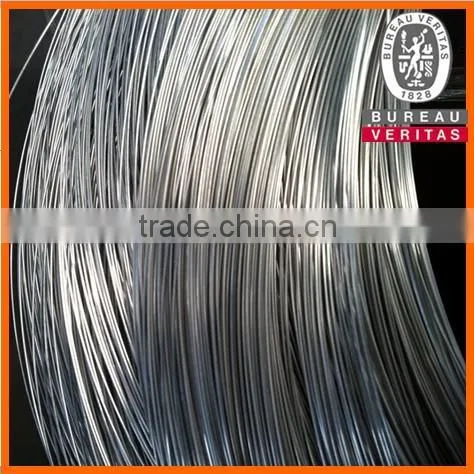 Galvanized Stainless Steel Wire With Top Quality Steel Wire Rope for Crane