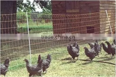 Economical Deer Plastic Netting Easy to Install photo-3
