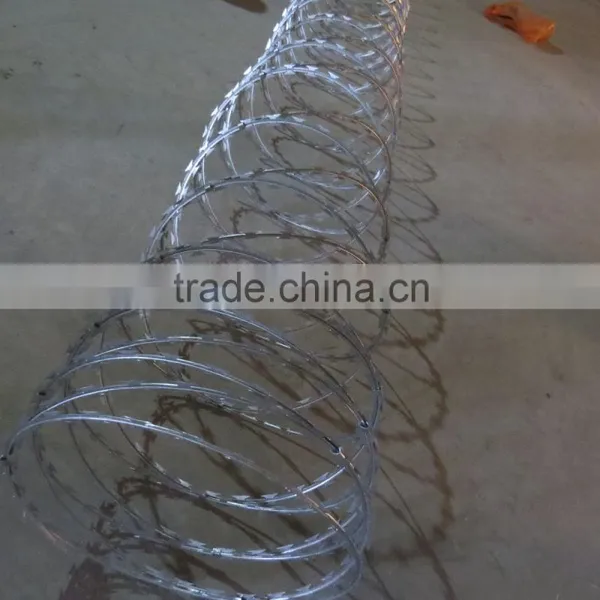 Motto Barbed Wire Price photo-4