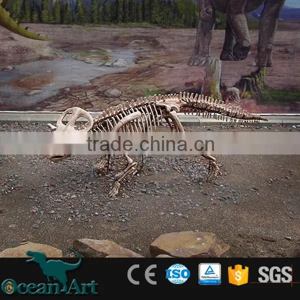 OAV2432 Dig Dinosaur Fossil Replica Real Dinosaur Fossils photo-5