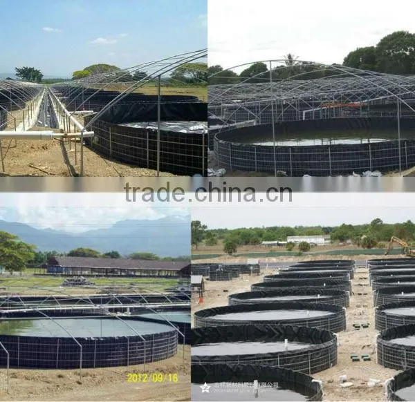Aquaculture Tanks for Fish Farming