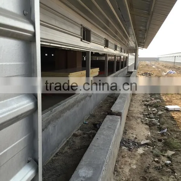 Automatic Environmental Controlled Poultry Farm photo-5