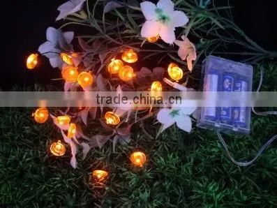 LED Festival Lights photo-6