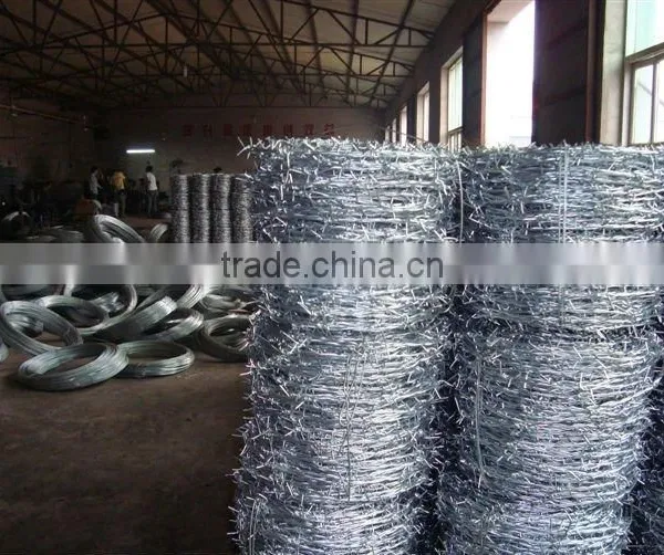 Hot Dipped gi Barbed Wire Cheap Price per Roll (Tommy,website:zheng.tommy1,whatsapp/viber/wechat:86-18032821161) photo-2