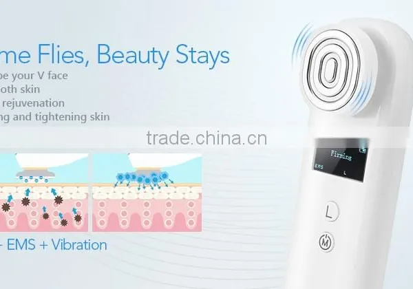 EMS + Vibration+RF Facial Beauty Device photo-5