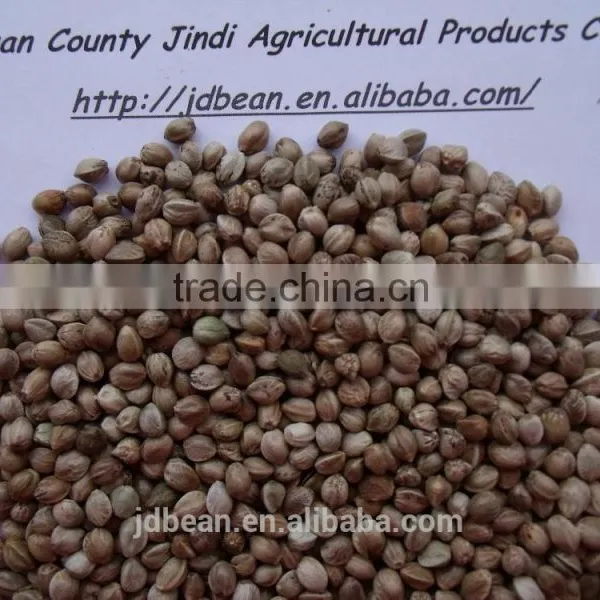 2015 Whole Hemp Seeds Good Grade photo-5