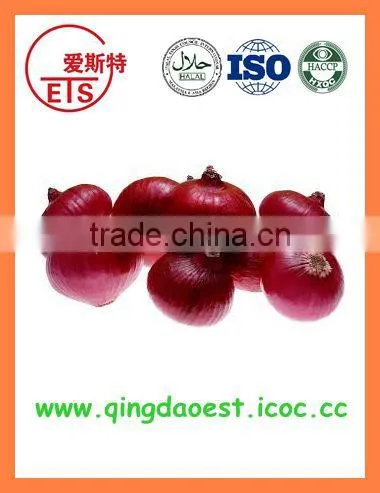 Fresh New Crop Red Onion PRODUCTS From China photo-2