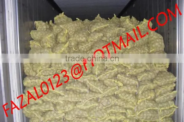 BANGLADESHI HIGH QUALITY FRESH GRANOLA POTATO AND DIAMOND POTATO FROM EXPORT TRADE ASSOCIATE WITH CHEAP PRICE photo-6