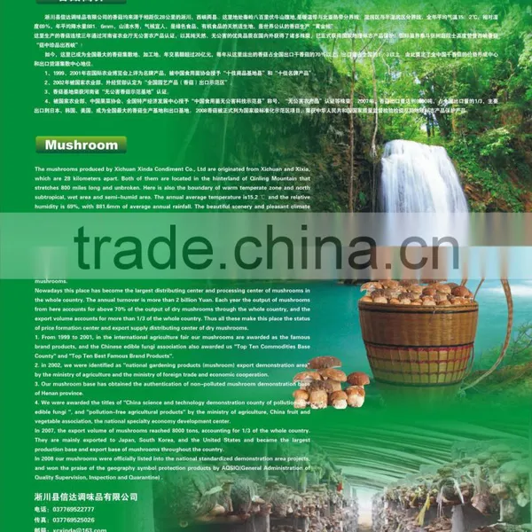 2015 Export Shiitake Mushroom ,Top Nutrition White Flower Mushroom photo-3