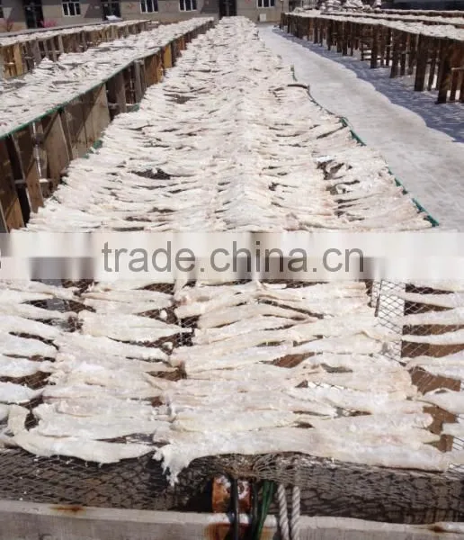 New Season Dry Salted Pollock Fillet photo-2