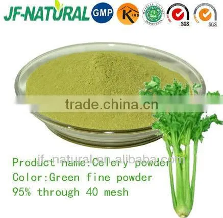 Celery Powder Green Fine Powder