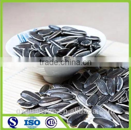 Factory Price Seeds Sunflower for Snack in Bulk