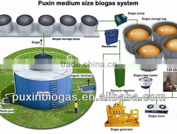 Suitable for Large Farms and Pastures Biogas Equipment/plant/system