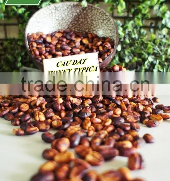 Cau Dat Fair Trade Typica Honey Beans With Best Quality photo-3