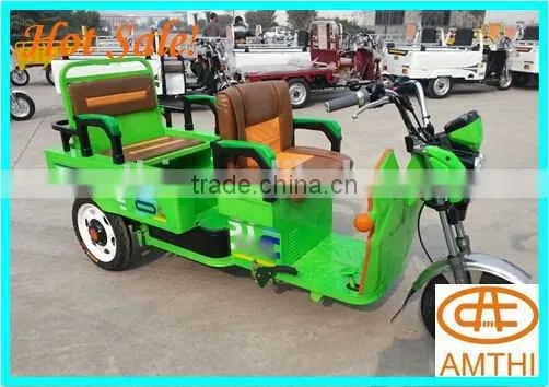 Passenger Electric Rickshaw Price , Amthi photo-6