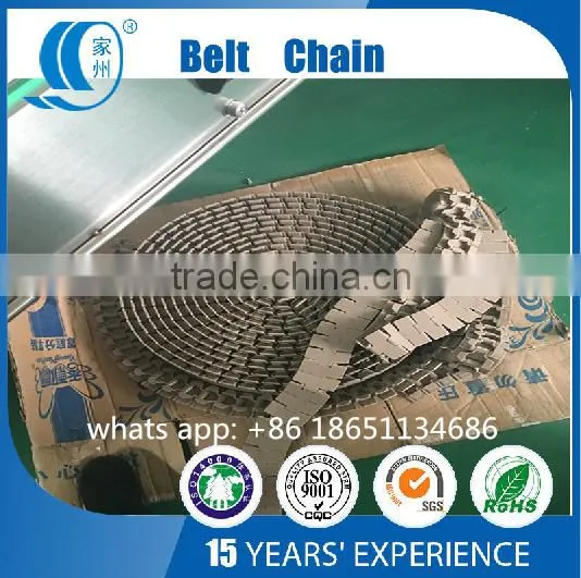 High Quality Customized Adjustable Bottle Conveyor Belting CE,ISO photo-2