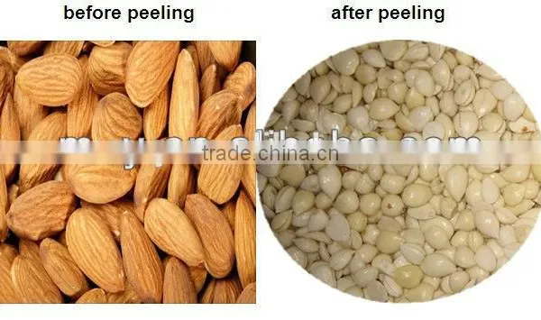 Almonds Skin Peeling Machine/ Blanching Machine With CE photo-2