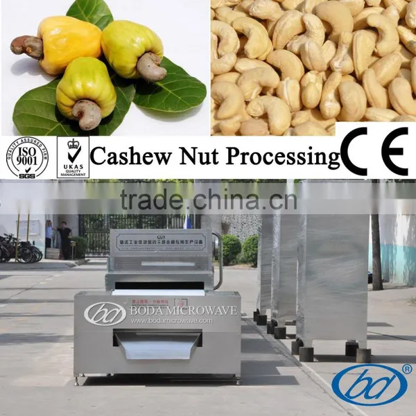 Microwave Sterilization Machine for Chestnuts photo-4