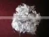 pp Fiber