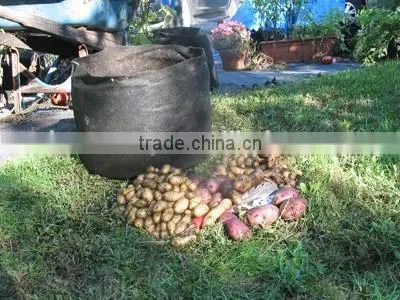 Tomato Grow Pot Smart Pot Non Woven Plant Bag (1 Gal to 1200 Gal) photo-6