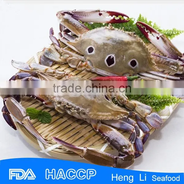 Frozen Whole Crab Seafood photo-4