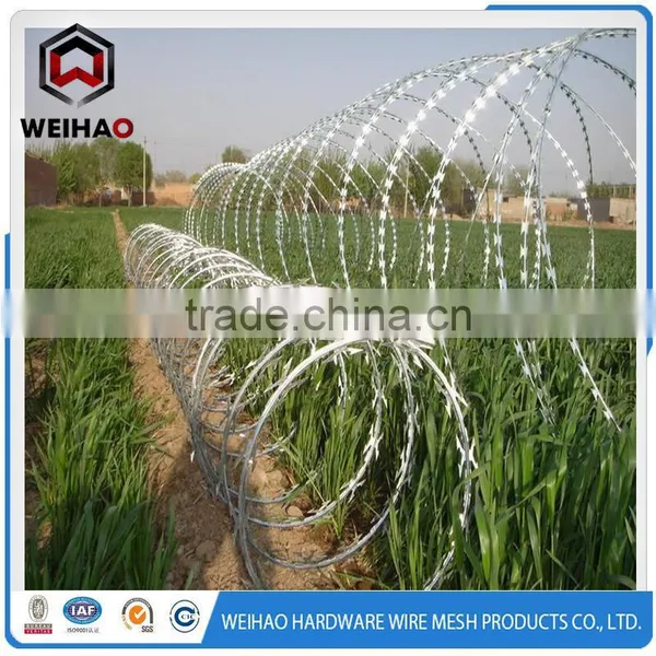 Guard Against Theft Razor Blade Wire Fencing photo-4