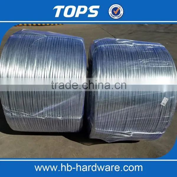 Galvanized Iron Wire Price China photo-3